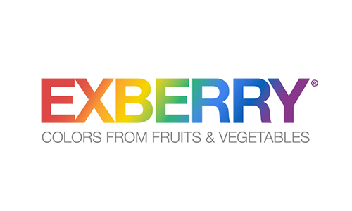 logo-exberry-pay-off