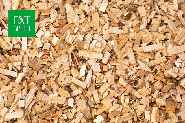 NXT GREEN India wins tender providing energy company 1200 tons of biomass